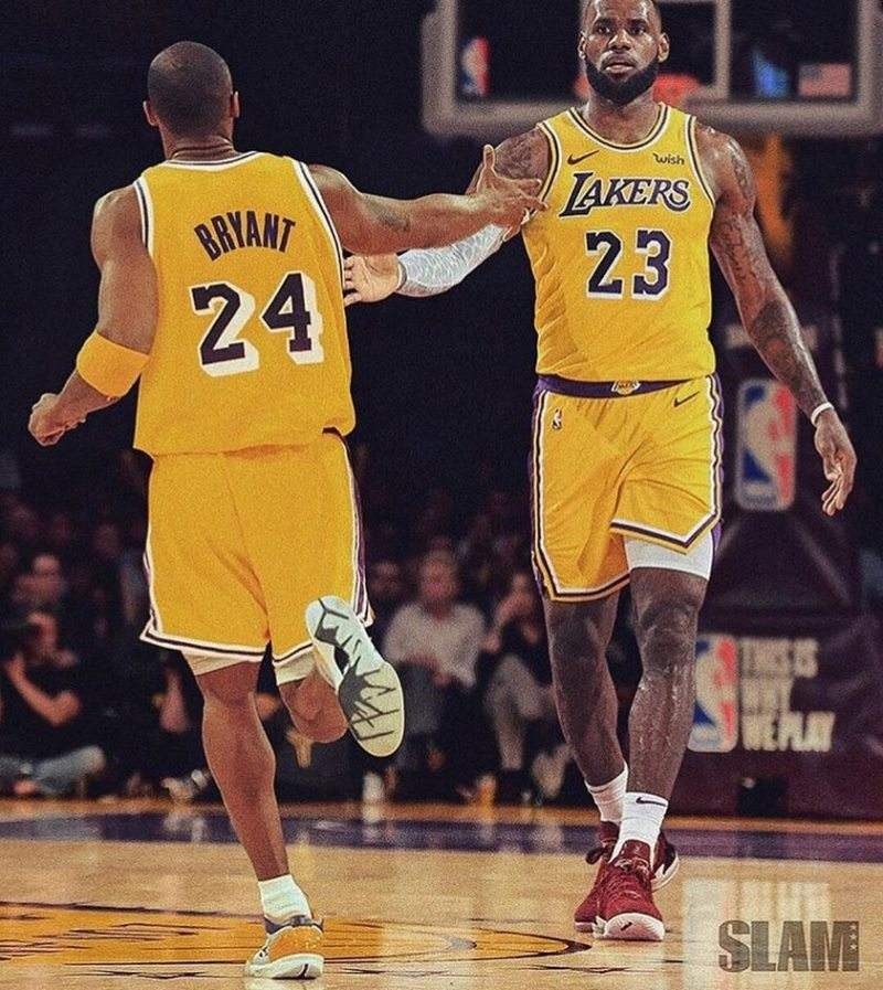 肘区终结效 肘区终结效